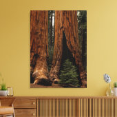 Redwood Trees, Sequoia National Park. Canvas Afdruk (Insitu (Woonkamer))