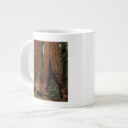 Redwood Trees, Sequoia National Park. Grote Koffiekop (Links)