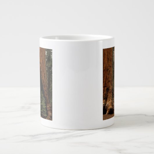 Redwood Trees, Sequoia National Park. Grote Koffiekop (Voorkant)