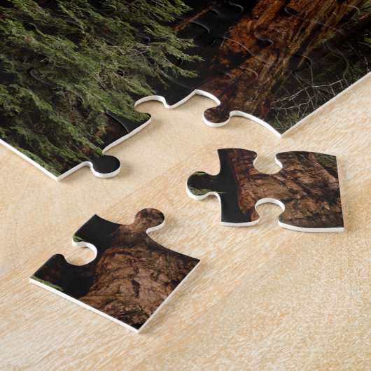 Redwood Trees, Sequoia National Park. Legpuzzel (Zijkant)