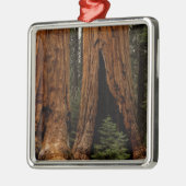 Redwood Trees, Sequoia National Park. Metalen Ornament (Links)