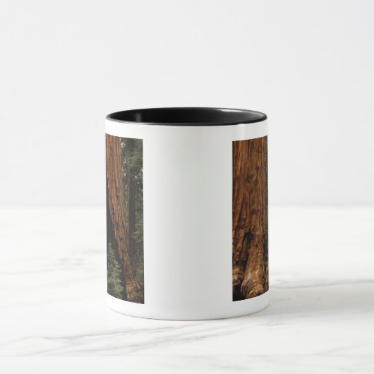 Redwood Trees, Sequoia National Park. Mok (Midden)