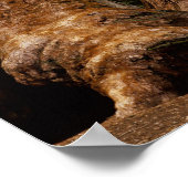 Redwood Trees, Sequoia National Park. Poster (Hoek)