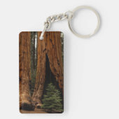 Redwood Trees, Sequoia National Park. Sleutelhanger (achterkant)