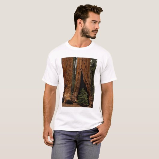 Redwood Trees, Sequoia National Park. T-shirt (Voorkant volledig)