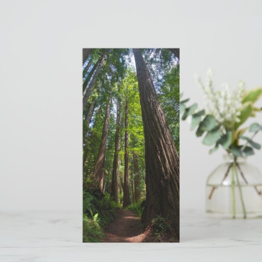 Redwood Trees Tall Briefkaart (Staand voorkant)