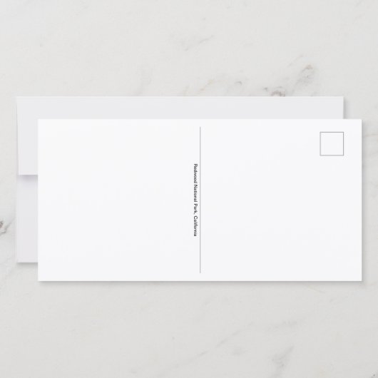 Redwood Trees Tall Briefkaart (Achterkant)