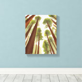 Redwood Trees | Waterverf van het Redwood National Canvas Afdruk (Insitu (Houten vloer))