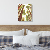 Redwood Trees | Waterverf van het Redwood National Canvas Afdruk (Insitu (Slaapkamer))