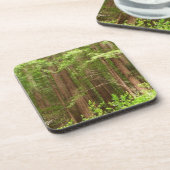 Redwood Treins bij Muir Bossen National Monument Bier Onderzetter (Linkerzijde)