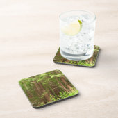 Redwood Treins bij Muir Bossen National Monument Bier Onderzetter (Rechterzijde)