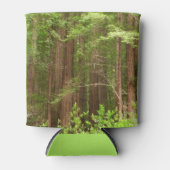 Redwood Treins bij Muir Bossen National Monument Blikjeskoeler (Voorkant)