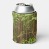 Redwood Treins bij Muir Bossen National Monument Blikjeskoeler (Blikje Achterkant)