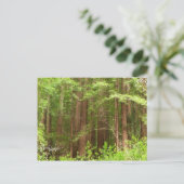 Redwood Treins bij Muir Bossen National Monument Briefkaart (Staand voorkant)