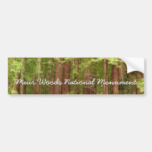 Redwood Treins bij Muir Bossen National Monument Bumpersticker