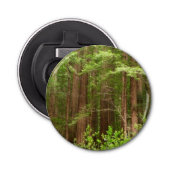 Redwood Treins bij Muir Bossen National Monument Button Flesopener (Voorkant)