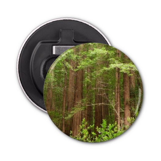 Redwood Treins bij Muir Bossen National Monument Button Flesopener (Voorkant)