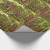 Redwood Treins bij Muir Bossen National Monument Cadeaupapier (Hoek)