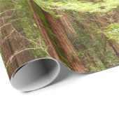 Redwood Treins bij Muir Bossen National Monument Cadeaupapier (Rol Hoek)