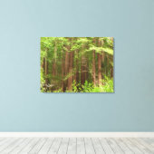Redwood Treins bij Muir Bossen National Monument Canvas Afdruk (Insitu (Houten vloer))
