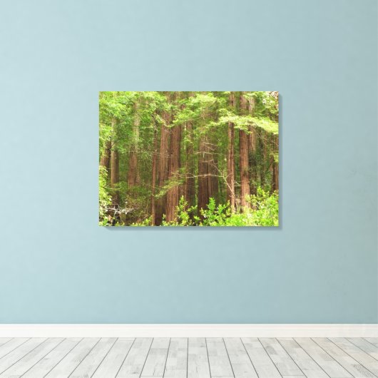 Redwood Treins bij Muir Bossen National Monument Canvas Afdruk (Insitu (Houten vloer))