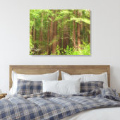Redwood Treins bij Muir Bossen National Monument Canvas Afdruk (Insitu (Slaapkamer))