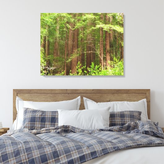Redwood Treins bij Muir Bossen National Monument Canvas Afdruk (Insitu (Slaapkamer))