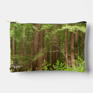Redwood Treins bij Muir Bossen National Monument Etui