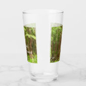 Redwood Treins bij Muir Bossen National Monument Glas (Links)