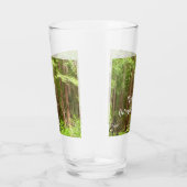 Redwood Treins bij Muir Bossen National Monument Glas (Rechts)