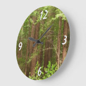 Redwood Treins bij Muir Bossen National Monument Grote Klok (Hoek)