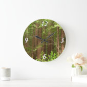 Redwood Treins bij Muir Bossen National Monument Grote Klok (Huis)