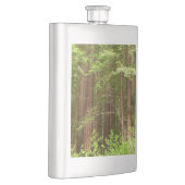 Redwood Treins bij Muir Bossen National Monument Heupfles (Rechts)