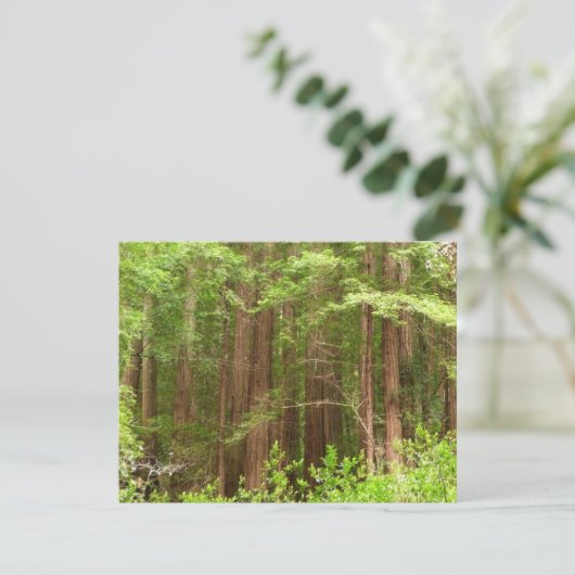 Redwood Treins bij Muir Bossen National Monument Kaart (Staand voorkant)
