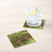 Redwood Treins bij Muir Bossen National Monument Kartonnen Onderzetters (Insitu)