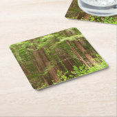 Redwood Treins bij Muir Bossen National Monument Kartonnen Onderzetters (Schuin)