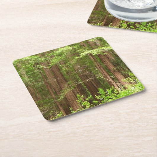 Redwood Treins bij Muir Bossen National Monument Kartonnen Onderzetters (Schuin)