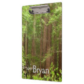 Redwood Treins bij Muir Bossen National Monument Klembord (Links)