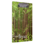 Redwood Treins bij Muir Bossen National Monument Klembord (Rechts)