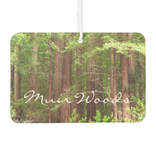 Redwood Treins bij Muir Bossen National Monument Luchtverfrisser