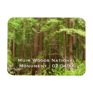 Redwood Treins bij Muir Bossen National Monument Magneet