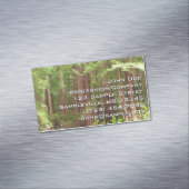 Redwood Treins bij Muir Bossen National Monument Magnetisch Visitekaartje (Voorbeeld)