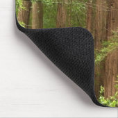 Redwood Treins bij Muir Bossen National Monument Muismat (Hoek)