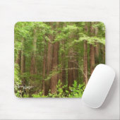 Redwood Treins bij Muir Bossen National Monument Muismat (Met muis)