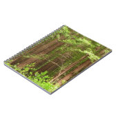 Redwood Treins bij Muir Bossen National Monument Notitieboek (Linkerzijde)