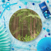 Redwood Treins bij Muir Bossen National Monument Papieren Bordje (Feest)