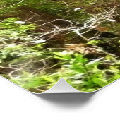 Redwood Treins bij Muir Bossen National Monument Perfect Poster (Hoek)