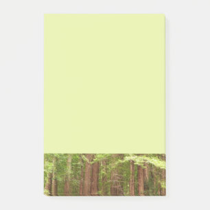 Redwood Treins bij Muir Bossen National Monument Post-it® Notes