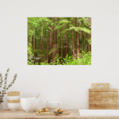 Redwood Treins bij Muir Bossen National Monument Poster (Keuken)