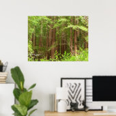 Redwood Treins bij Muir Bossen National Monument Poster (Thuiskantoor)